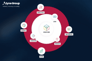 Zoho One Professional Services